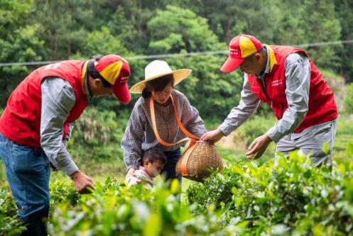 國家電網(wǎng)公司定點幫扶安徽金寨縣高質(zhì)量脫貧