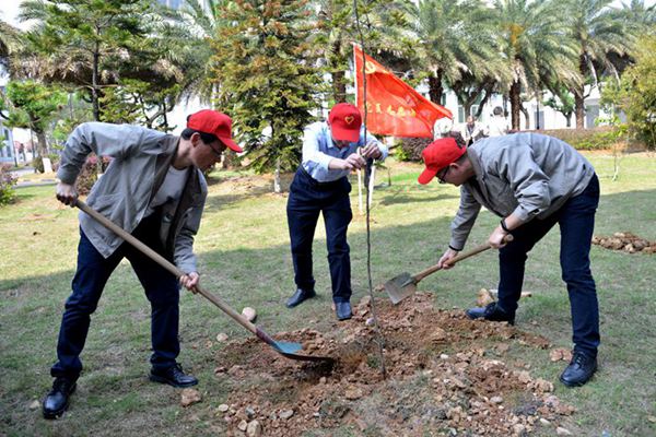 國(guó)家能源集團(tuán)雁石公司組織開展義務(wù)植樹活動(dòng)