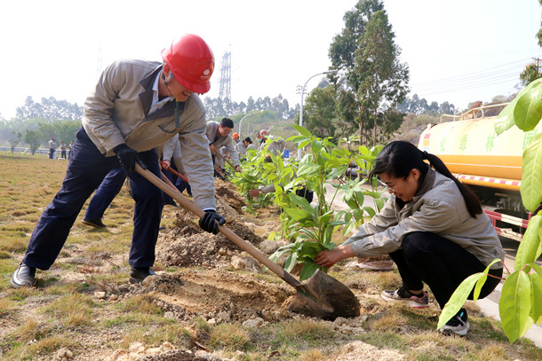 國能（泉州）熱電有限公司植樹活動(dòng)共建美好家園