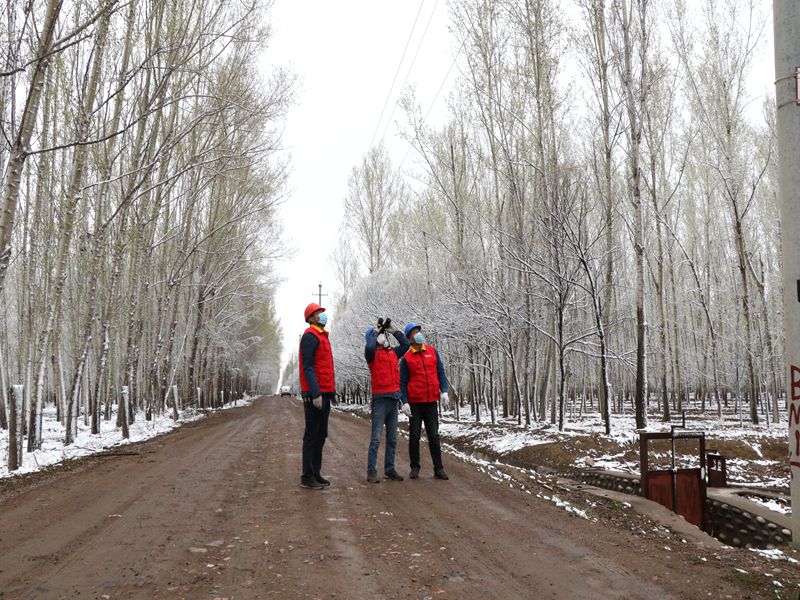 國網(wǎng)伊犁伊河供電公司四月飛雪，電力員工巡視線路保供電