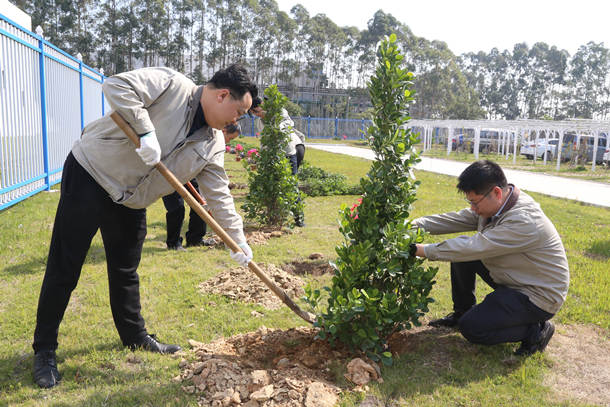 國能（泉州）熱電有限公司開展植樹活動共建美好家園