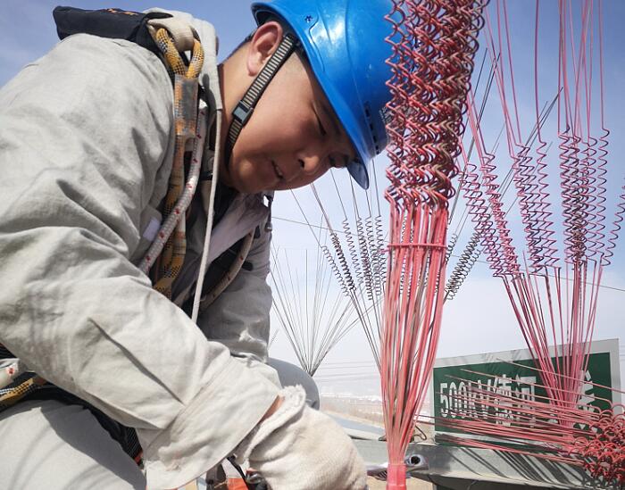 烏海超高壓供電公司：防鳥害 保供電