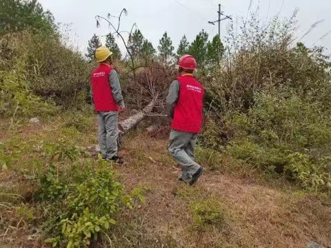 國網道縣供電公司國慶保電不打烊 特巡線路防山火