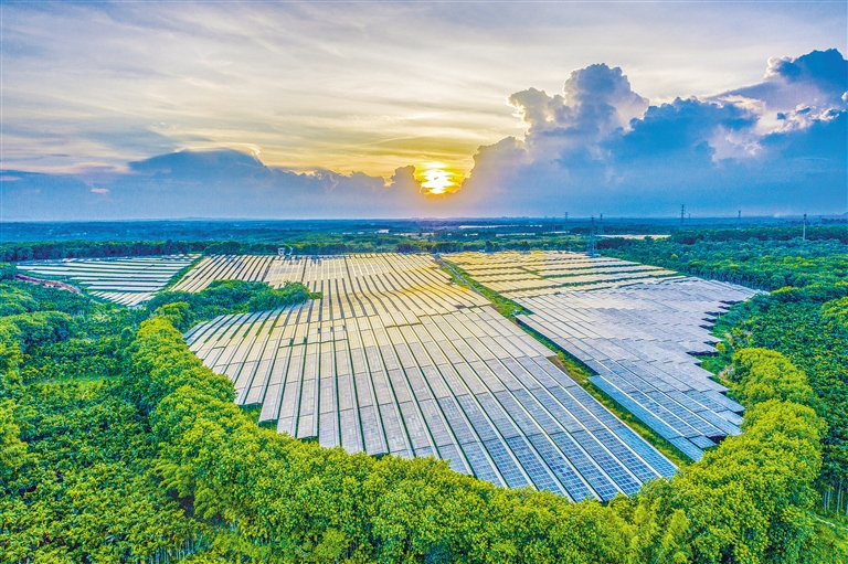 海南電網(wǎng)公司加快構(gòu)建現(xiàn)代供電服務(wù)體系，驅(qū)動鄉(xiāng)村振興電力引擎