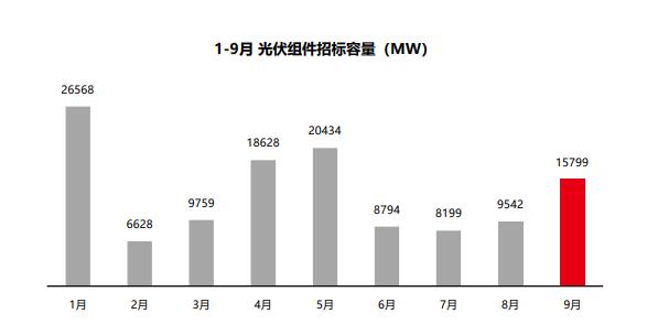 組件招標(biāo)量飆升，莫讓“最低價中標(biāo)”中傷“中國名片”