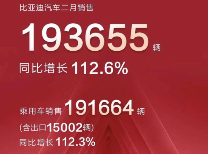 2月新能源車企成績(jī)單出爐，比亞迪一騎絕塵