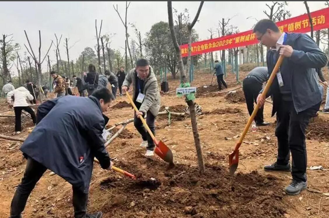 湖北省電力企業(yè)聯(lián)合會(huì)舉辦“聚樹(shù)成林·聚合希望”植樹(shù)活動(dòng)