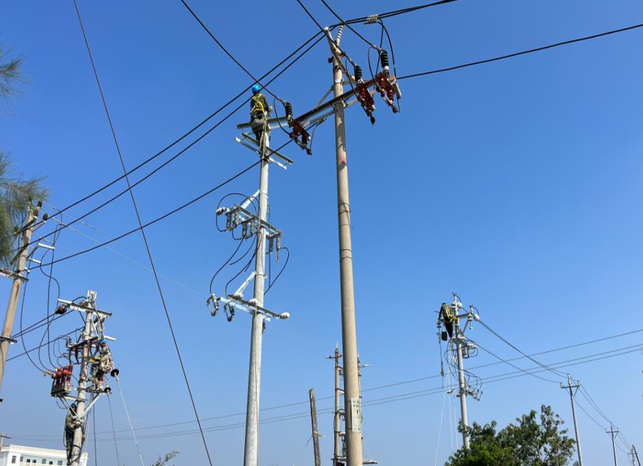 國(guó)網(wǎng)漳浦供電公司差異化改造高效提升供電可靠性