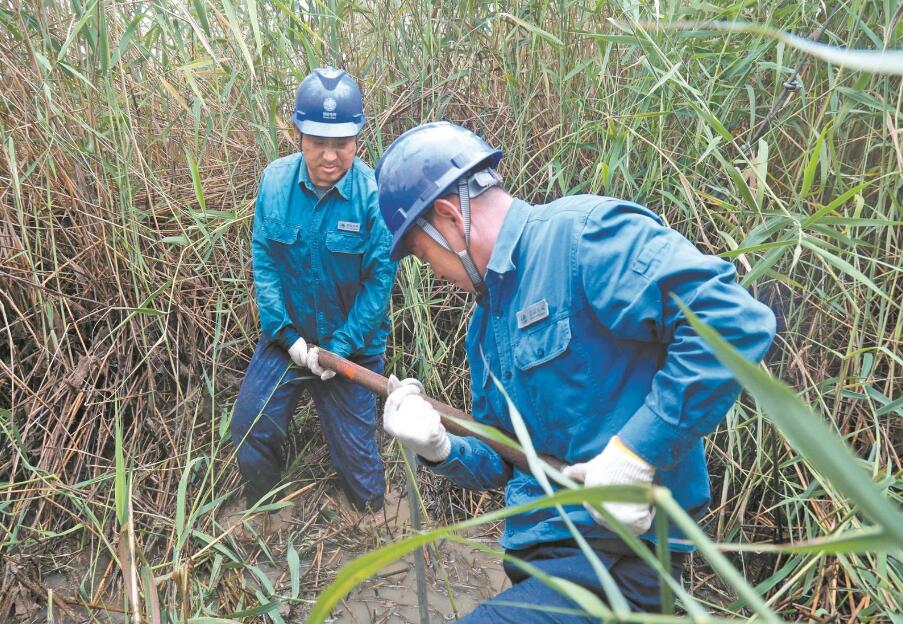 山東微山縣供電公司：湖區(qū)中央換拉線 一身濕透半身泥