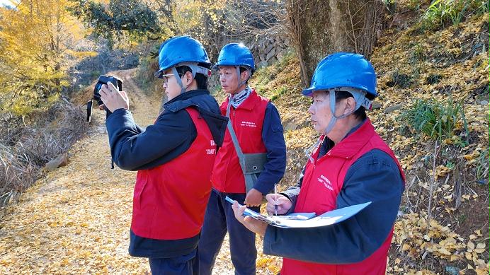 國網政和縣供電公司用心護航“金”杏美　助力縣域旅游業(yè)發(fā)展